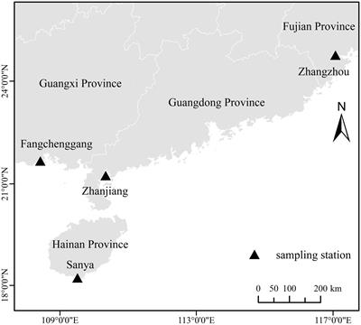 The muscle nutritional components analysis of golden pompano (Trachinotus blochii) in different mariculture area, growth stages, and genders